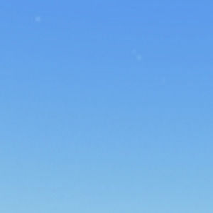 Meet your Posher, Lily